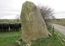 Pluckanes North standing stone